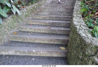 195 a0e. - Rio de Janeiro tour - Sugarloaf Mountain