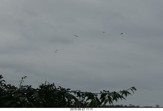 135 a0e. Iguazu Falls