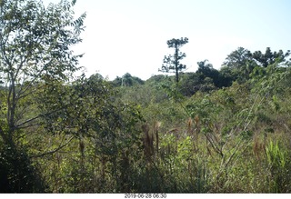 32 a0e. Iguazu Falls - train ride