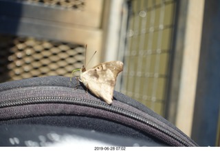 69 a0e. Iguazu Falls - Devil's Throat