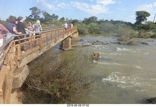 184 a0e. Iguazu Falls - Devil's Throat