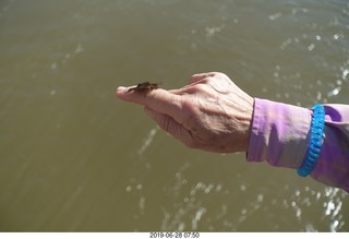 206 a0e. Iguazu Falls - Devil's Throat - butterfly