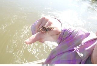 209 a0e. Iguazu Falls - Devil's Throat - butterfly