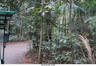 316 a0e. Iguazu Falls drive to boat