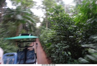 318 a0e. Iguazu Falls drive to boat