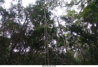 319 a0e. Iguazu Falls drive to boat