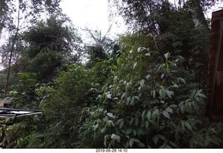 442 a0e. Iguazu Falls Macuco Boat Safari drive back