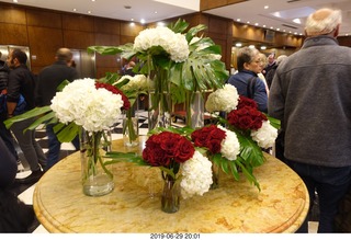 193 a0e. Buenos Aires - hotel flowers