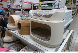 Iguazu Falls + Peter and Regina Lee taking a picture