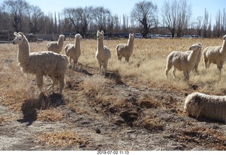 147 a0f. eclipse site