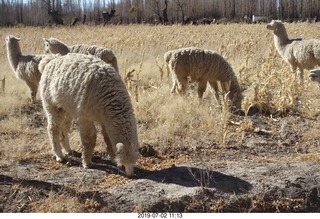 149 a0f. eclipse site