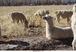 150 a0f. eclipse site