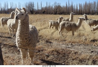 155 a0f. eclipse site