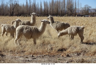 156 a0f. eclipse site