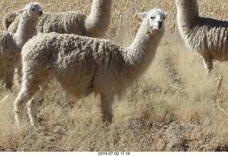 159 a0f. eclipse site