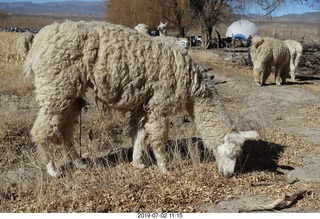 161 a0f. eclipse site