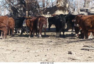 163 a0f. eclipse site