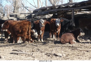 164 a0f. eclipse site