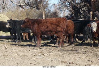 166 a0f. eclipse site