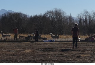 208 a0f. eclipse site