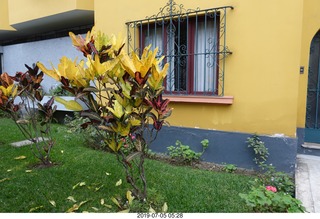 99 a0f. Peru - Lima run