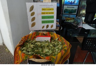 383 a0f. Peru - Cusco - coca leaves
