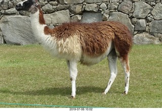 302 a0f. Peru - Machu Picchu