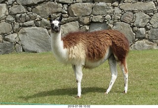 303 a0f. Peru - Machu Picchu