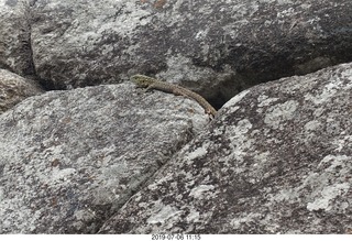 465 a0f. Peru - Machu Picchu