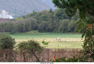 31 a0f. Peru - Aranwa Sacred Valley hotel - horse