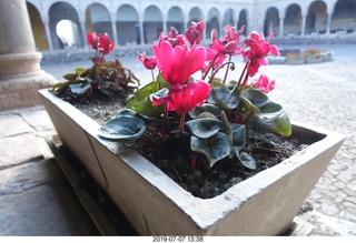 427 a0f. Peru - Cusco - church - flowers
