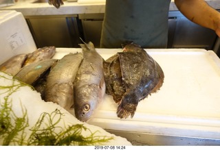 175 a0f. Peru - Lima - Alfresco restaurant  - fish