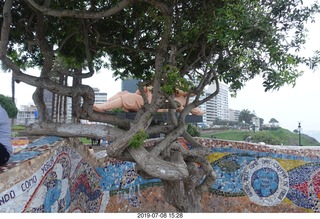 260 a0f. Peru - Lima - beach garden walk