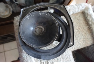 19 a0g. cat-caused woofer-driver damage