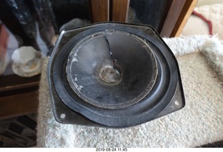 21 a0g. cat-caused woofer-driver damage