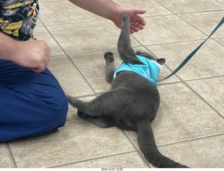 Kierland Animal Clinic - Krista Gibson - open house