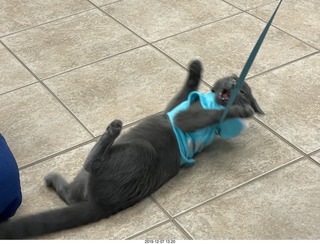 my vet Dr. Krista Gibson's new Corvette