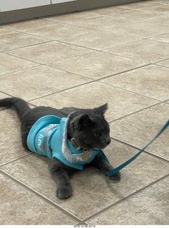 Kierland Animal Clinic - Krista Gibson - open house