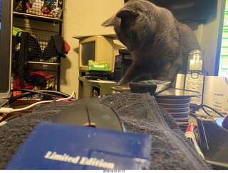 Scottsdale Arts - Voctave - USB song collection and my cat Devin