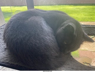 airline flights from Rio de Janeiro to Iguazu - cool actors in costumes