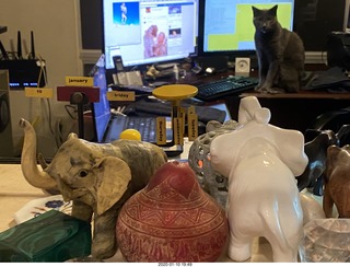 Philip E. Rosenberg calendar + my cats Devin and Jane