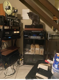 Quad ESL repair, replacing EHT power-supply board