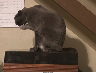 Quad ESL repair, replacing EHT power-supply board