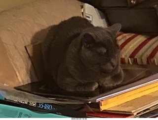 airline flights from Rio de Janeiro to Iguazu - cool actors in costumes