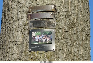 Princeton University Alumni Day