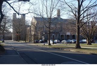 Princeton - Institute for Advanced Study (IAS) pond + toad