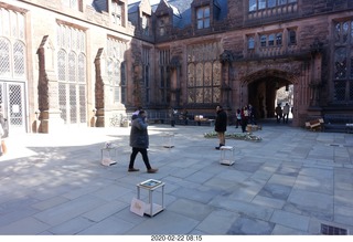 Princeton University Alumni Day - wedding proposal
