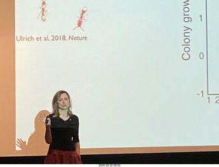 Princeton University Alumni Day - wedding proposal