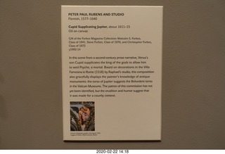 Princeton University Alumni Day - Art Museum