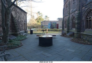 Princeton University Alumni Day - Art Museum